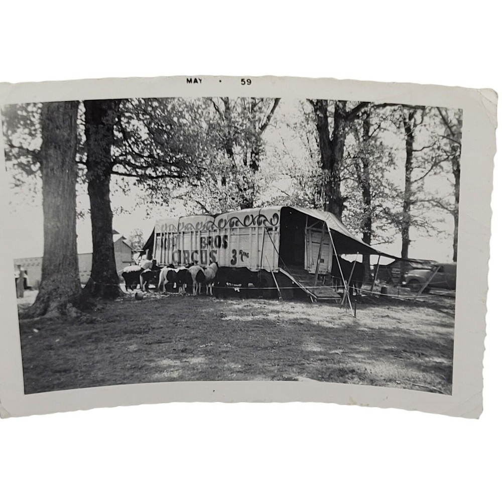 Hagen Brothers 3 Ring Circus 1959 B & W Snapshot Glossy Photo Horses Trailor